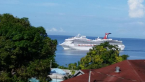 Ocean View Montego Bay Apartment